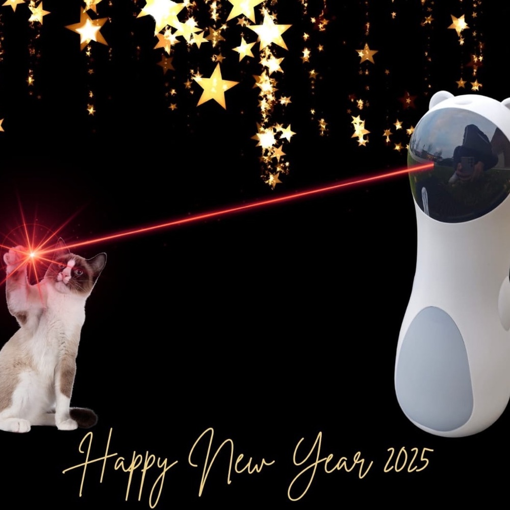 Interactive Cat Laser Toy